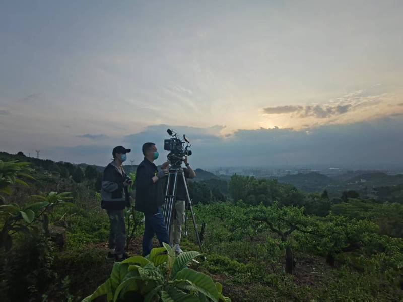 创意破圈！敦煌市电商产品宣传视频用故事化叙事引爆流量