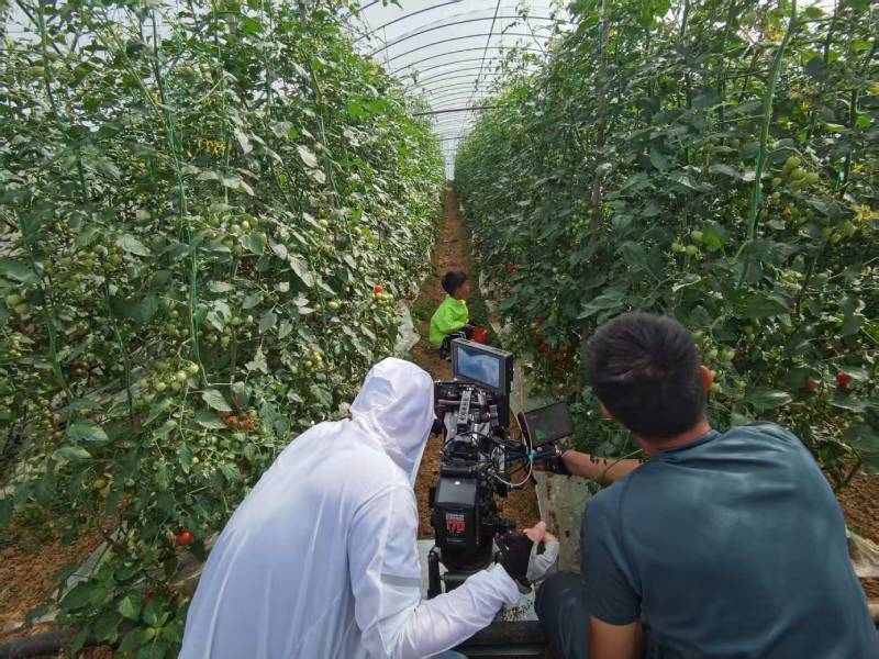 敦煌市产品宣传视频拍摄公司进阶指南，助力品牌抢占传播高地